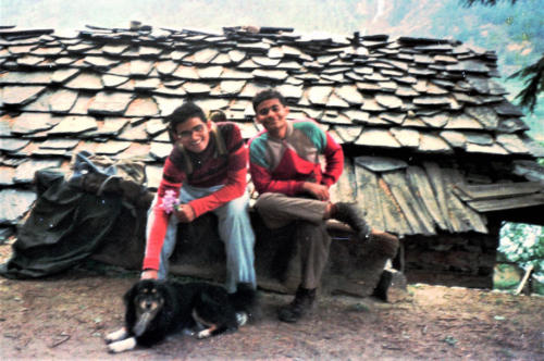 Nawang and Arnav with a Sheep Dog