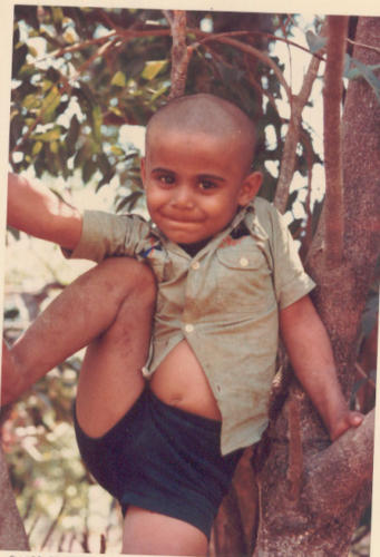 Monkeying around in the mountains