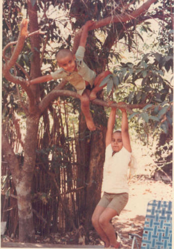 Monkeying around in the mountains