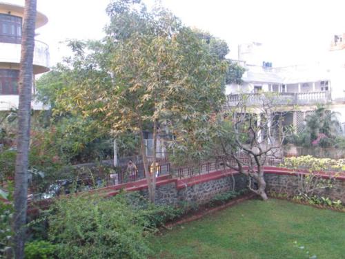 Sonchampa Tree at Nandadeep