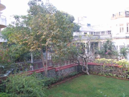 Sonchampa Tree at Nandadeep