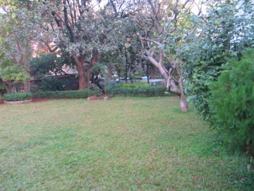 Sonchampa Tree at Nandadeep