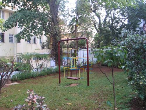 Sonchampa Tree at Nandadeep