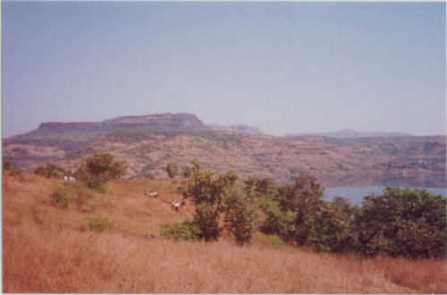 Lake_at_distance